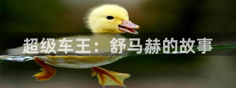 尊龙官网下载招商电话号码是多少啊:超级车王:舒马赫的故事